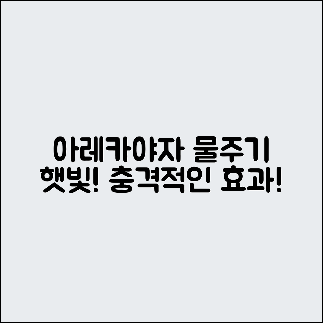 충격적인 아레카야자 물주기와 햇빛의 효과!