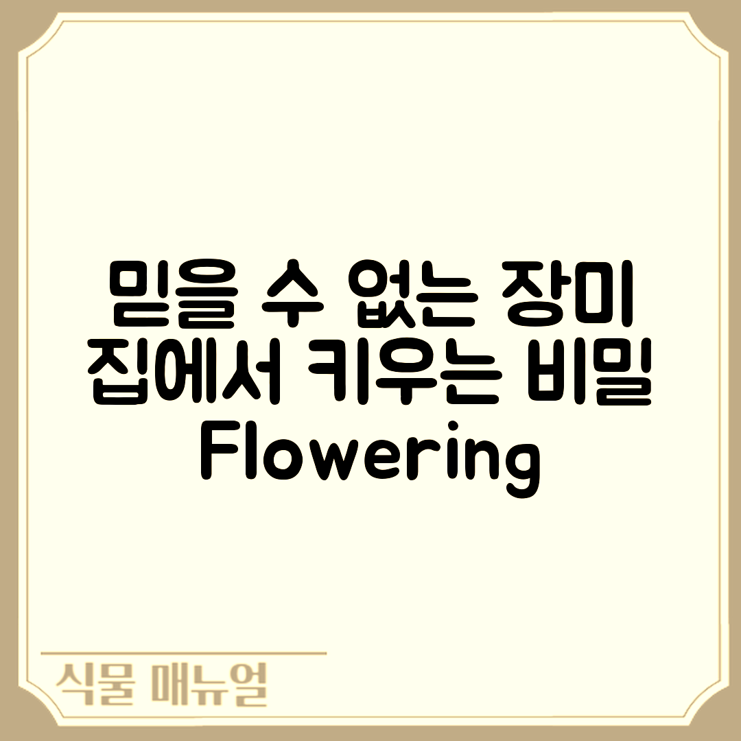 믿을 수 없는 집에서 키우는 장미, 꽃 피우는 비밀!