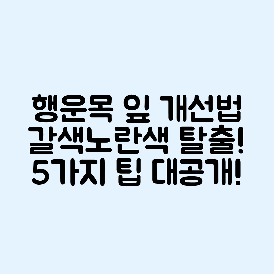 행운목 잎 갈색·노란색 개선법 5가지