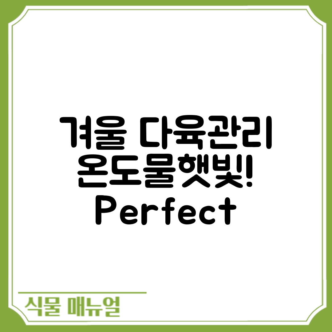 다육식물 겨울철 관리 마스터하기: 온도·물·햇빛 최적화