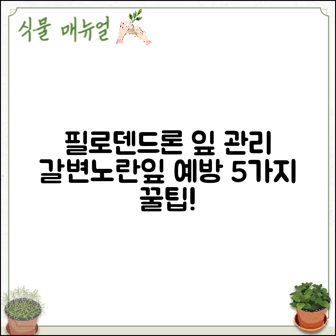 필로덴드론 잎 관리 5가지로 갈변·노란잎 예방하기