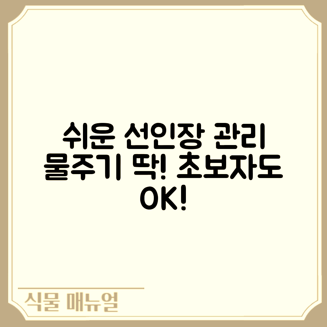 초보자도 쉽게 하는 선인장 화분 물주기와 관리