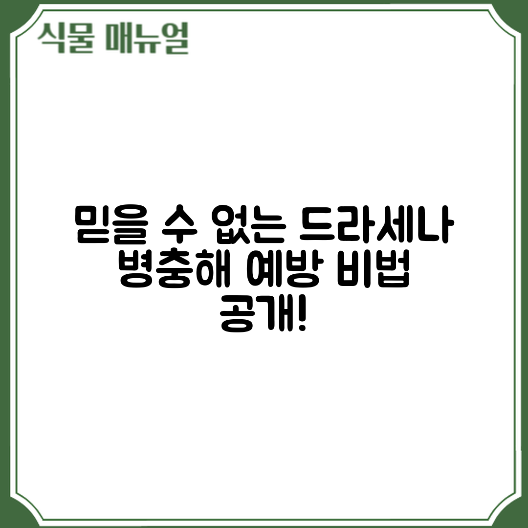 믿을 수 없는 드라세나 병충해 예방 비법 공개!