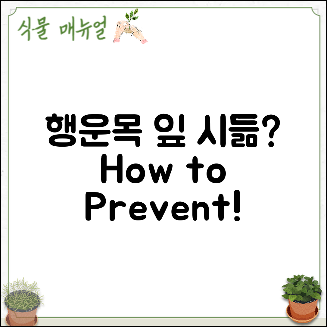 행운목 잎 시듦 방지, 어떻게 할까요?