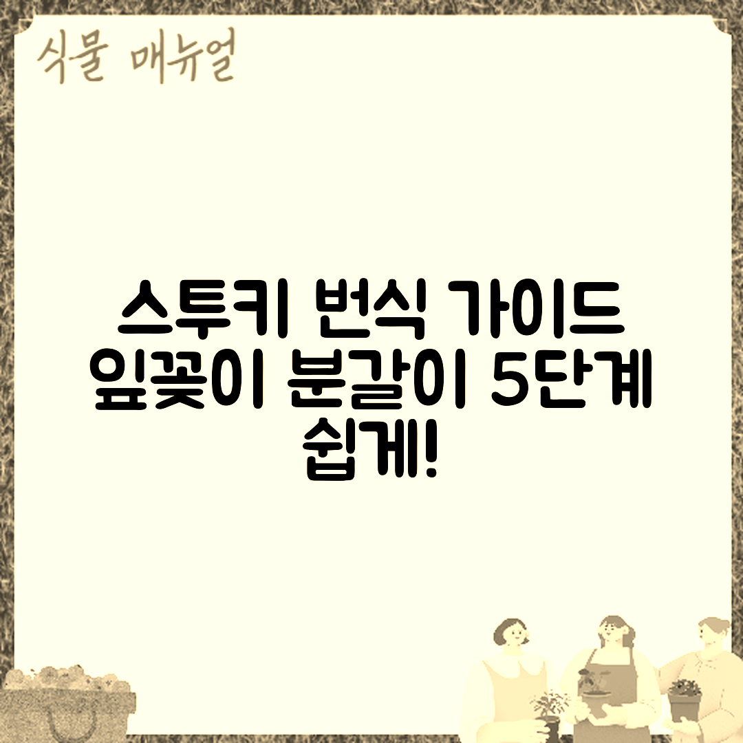 스투키 번식법: 잎꽂이·분갈이 5단계 가이드