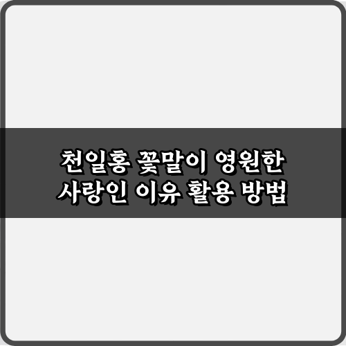 천일홍 꽃말이 영원한 사랑인 이유, 숨겨진 4가지 진실