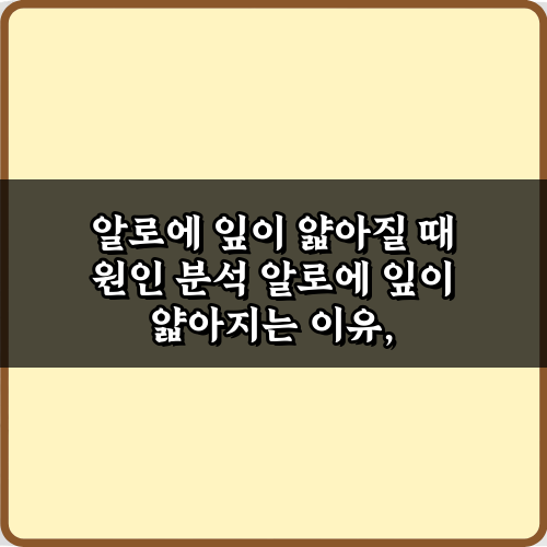 알로에 잎이 얇아질 때 원인 분석! 5가지 해결 비법 총정리