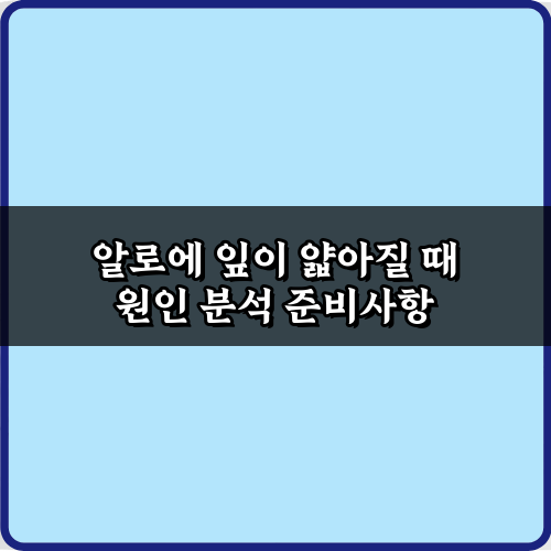 알로에 잎이 얇아질 때 원인 분석! 5가지 해결 비법 총정리