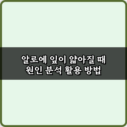 알로에 잎이 얇아질 때 원인 분석! 5가지 해결 비법 총정리