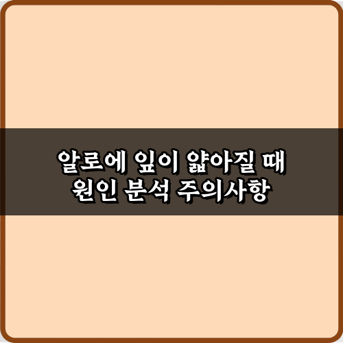 알로에 잎이 얇아질 때 원인 분석! 5가지 해결 비법 총정리