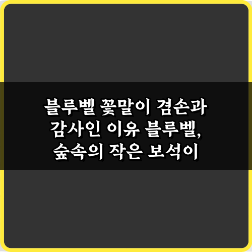블루벨 꽃말이 겸손과 감사인 이유 완벽 가이드 7가지