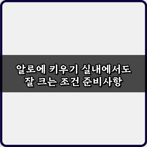 초보도 성공하는 알로에 키우기 실내에서도 잘 크는 조건 7가지