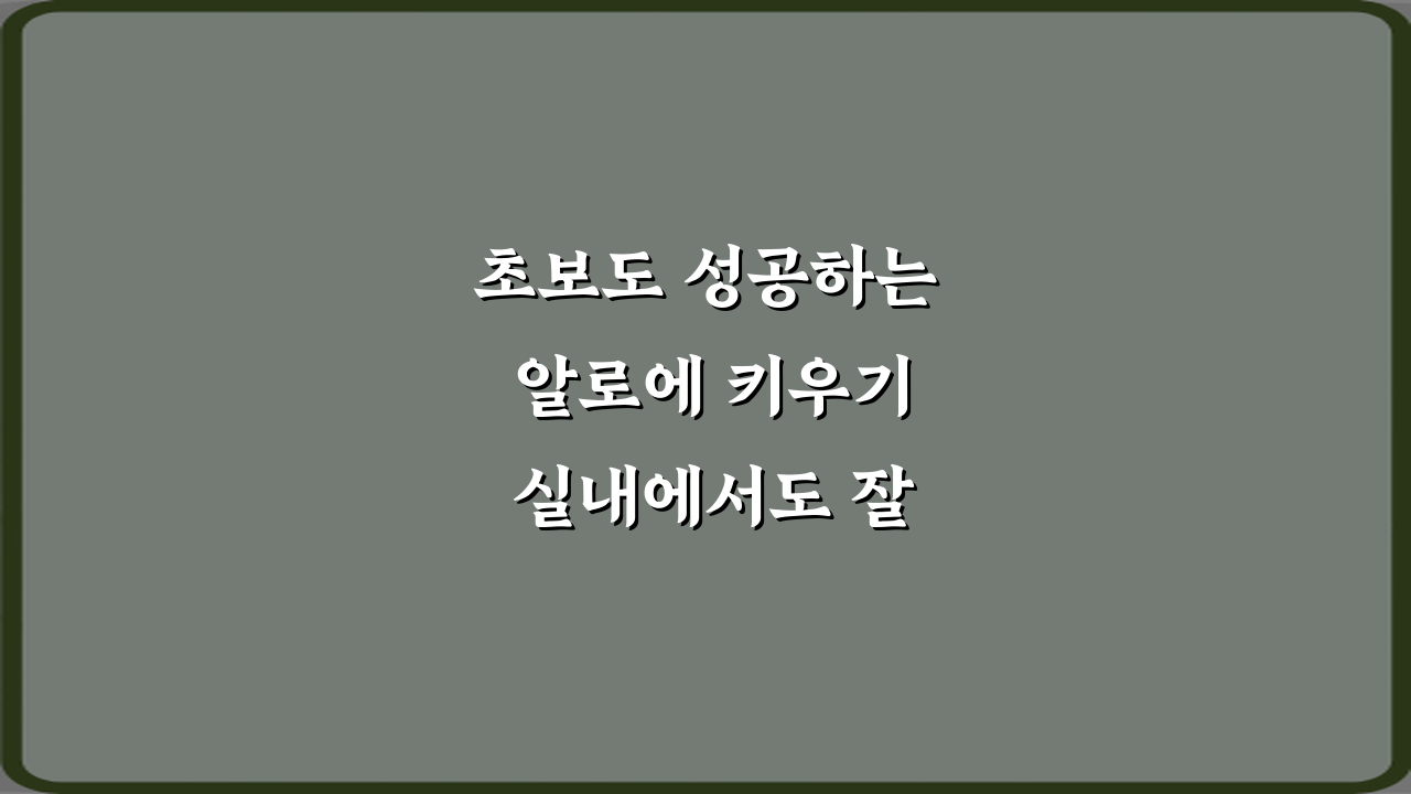 초보도 성공하는 알로에 키우기 실내에서도 잘 크는 조건 7가지