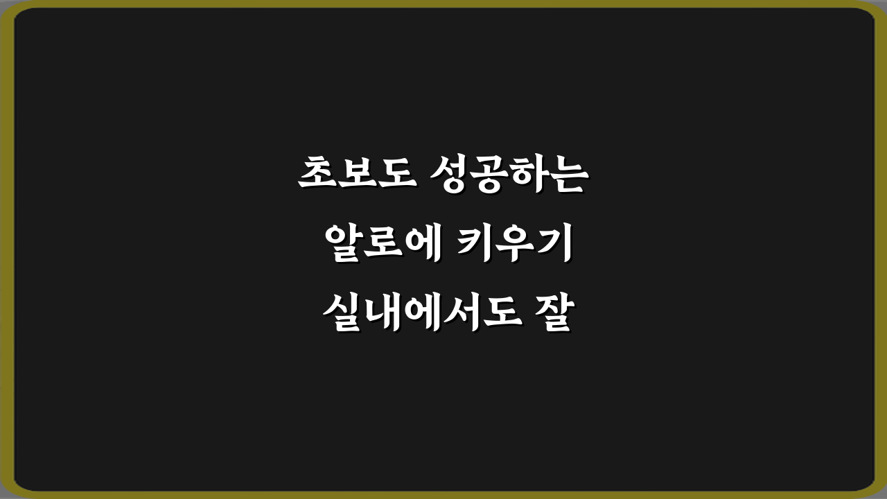 초보도 성공하는 알로에 키우기 실내에서도 잘 크는 조건 7가지