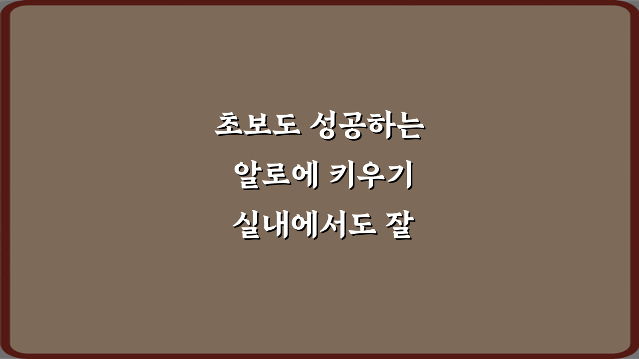 초보도 성공하는 알로에 키우기 실내에서도 잘 크는 조건 7가지