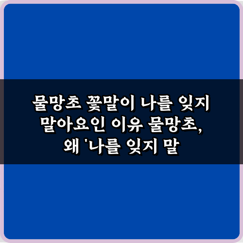 물망초 꽃말이 나를 잊지 말아요인 이유! 숨겨진 잊지 못할 전설 3가지