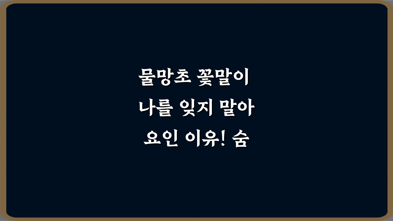 물망초 꽃말이 나를 잊지 말아요인 이유! 숨겨진 잊지 못할 전설 3가지