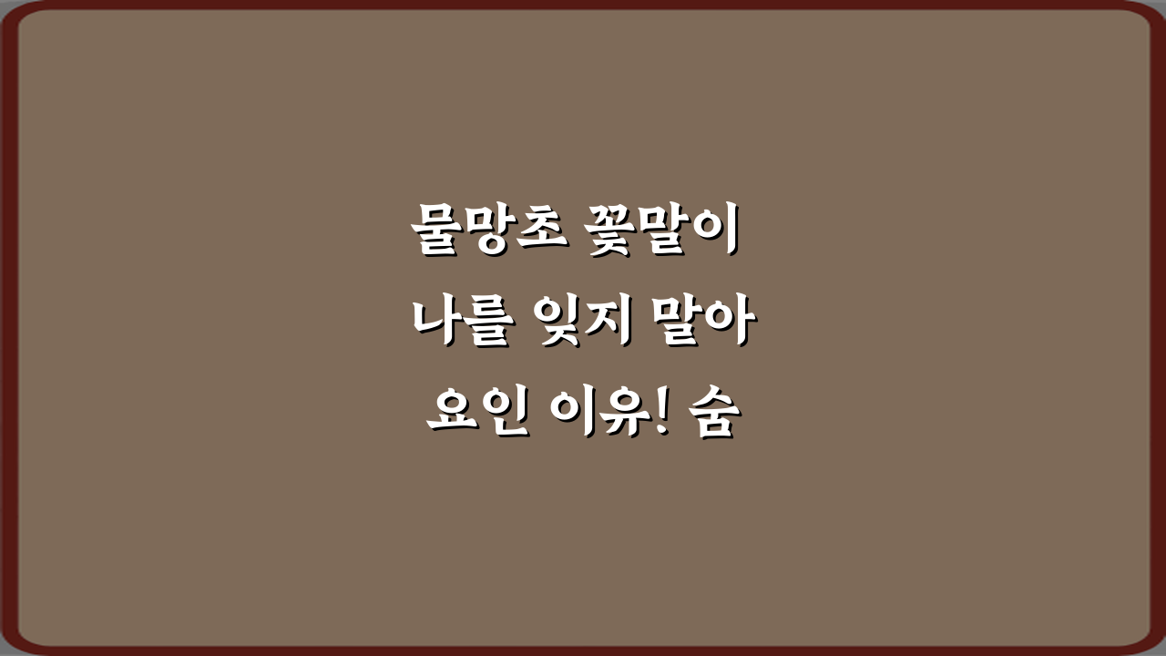 물망초 꽃말이 나를 잊지 말아요인 이유! 숨겨진 잊지 못할 전설 3가지