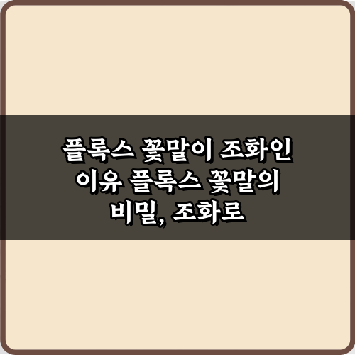 플록스 꽃말이 조화인 이유: 5가지 비밀과 의미 총정리