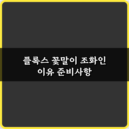 플록스 꽃말이 조화인 이유: 5가지 비밀과 의미 총정리