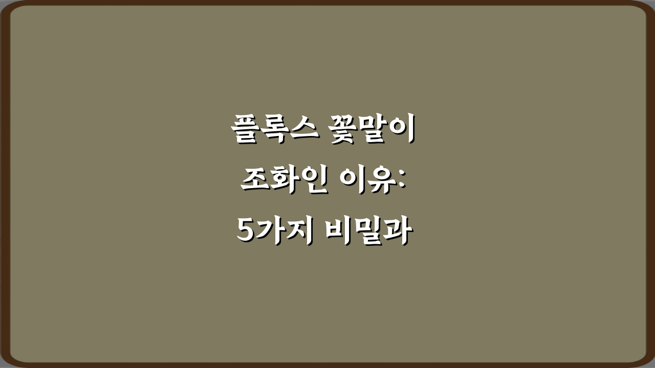 플록스 꽃말이 조화인 이유: 5가지 비밀과 의미 총정리