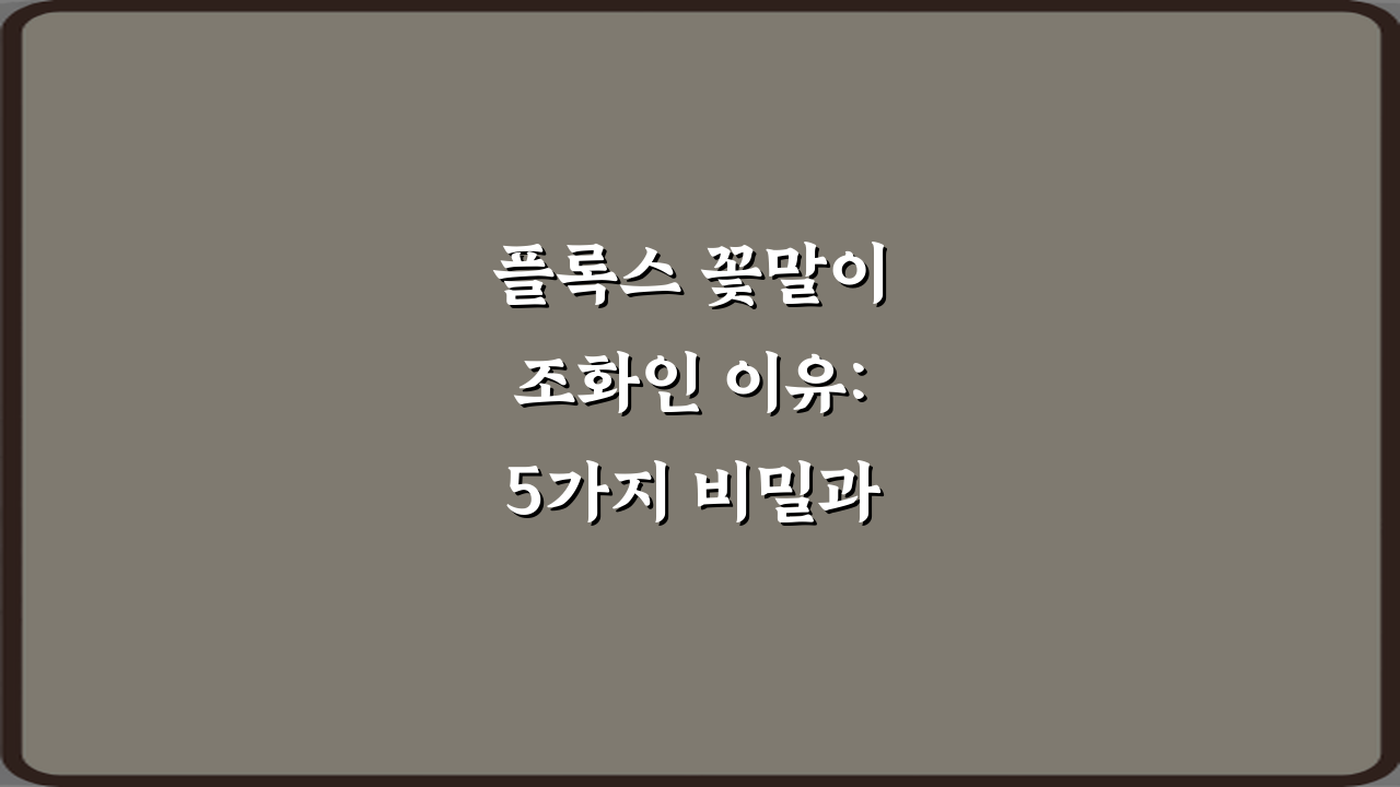 플록스 꽃말이 조화인 이유: 5가지 비밀과 의미 총정리