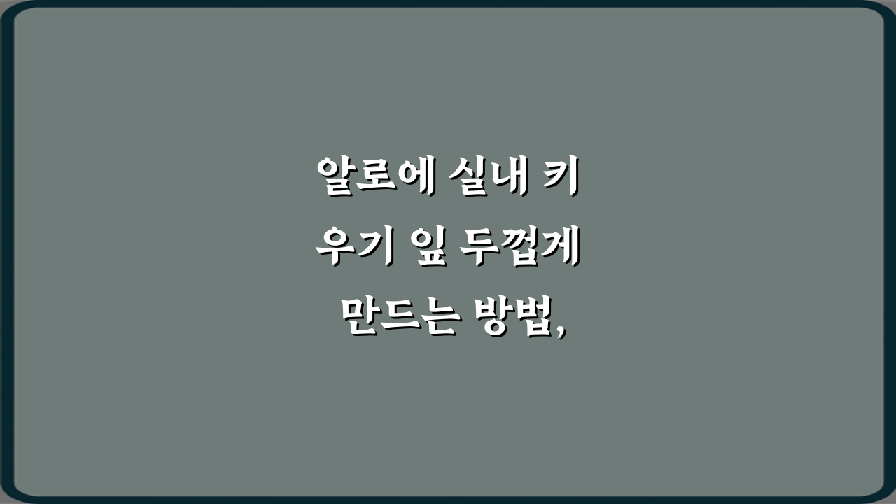 알로에 실내 키우기 잎 두껍게 만드는 방법, 5가지 비법!