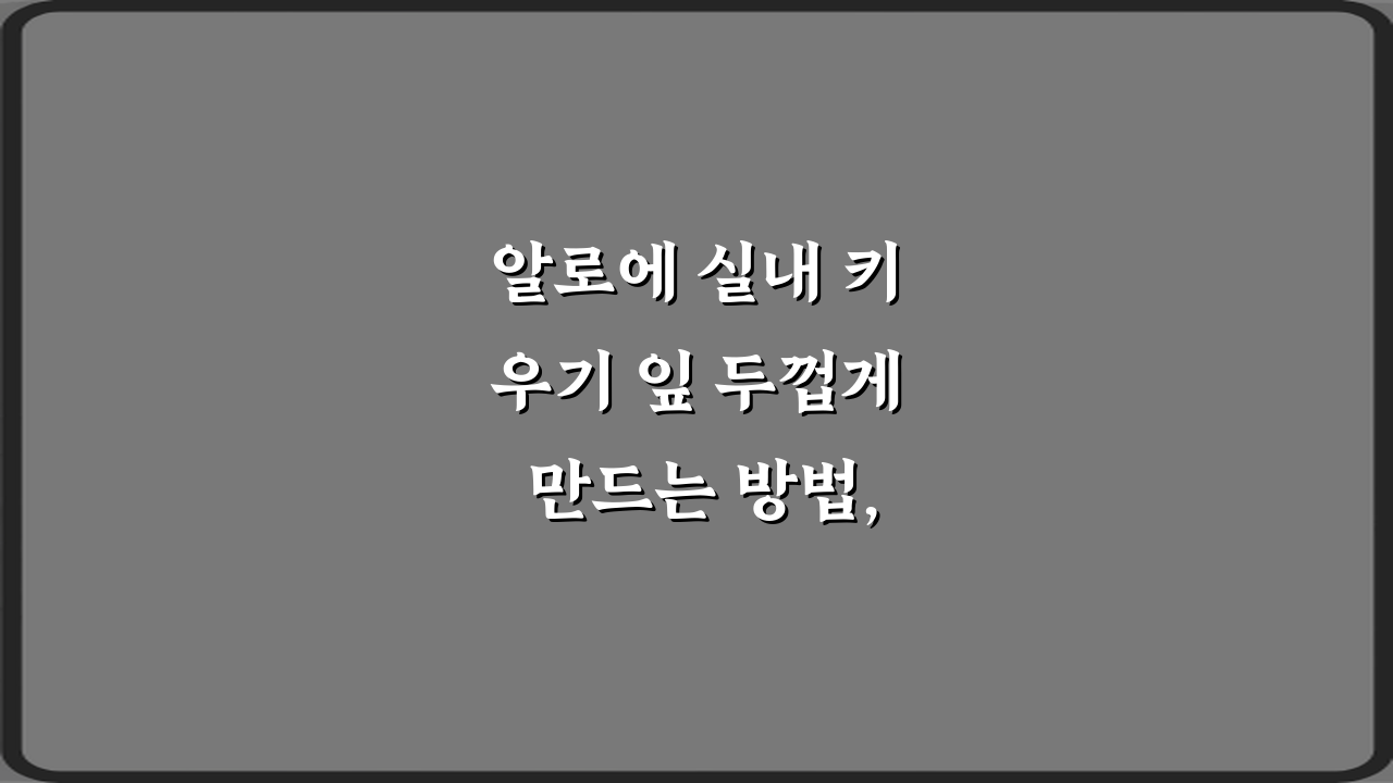 알로에 실내 키우기 잎 두껍게 만드는 방법, 5가지 비법!