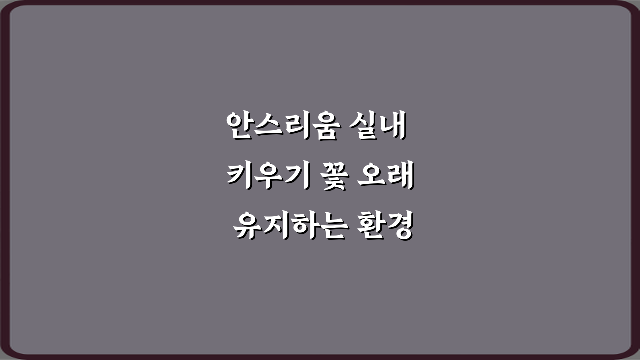 안스리움 실내 키우기 꽃 오래 유지하는 환경, 5가지 비법