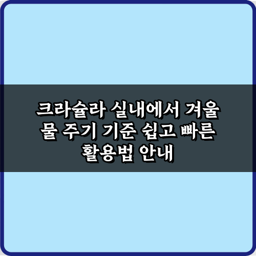 초보도 성공! 크라슐라 실내에서 겨울 물 주기 기준 3단계