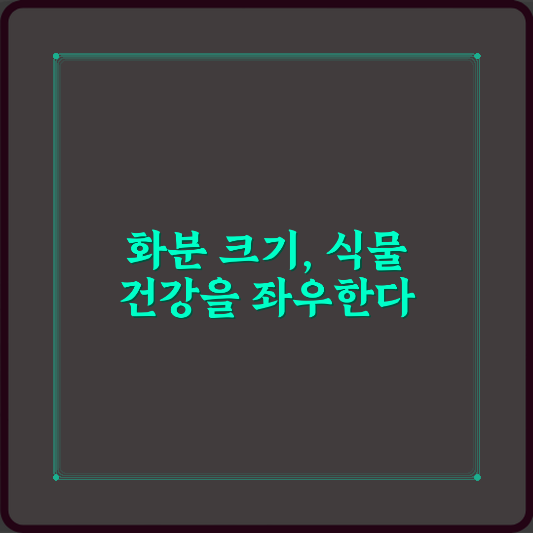 실패 없는 페퍼로미아 실내에서 화분 크기 선택 기준 7가지!