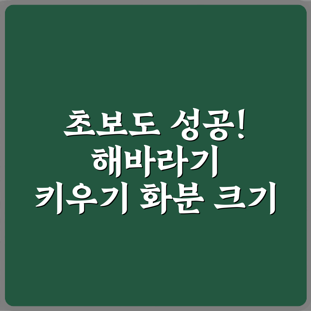 초보도 성공! 해바라기 키우기 화분 크기 선택 기준 7가지 비법