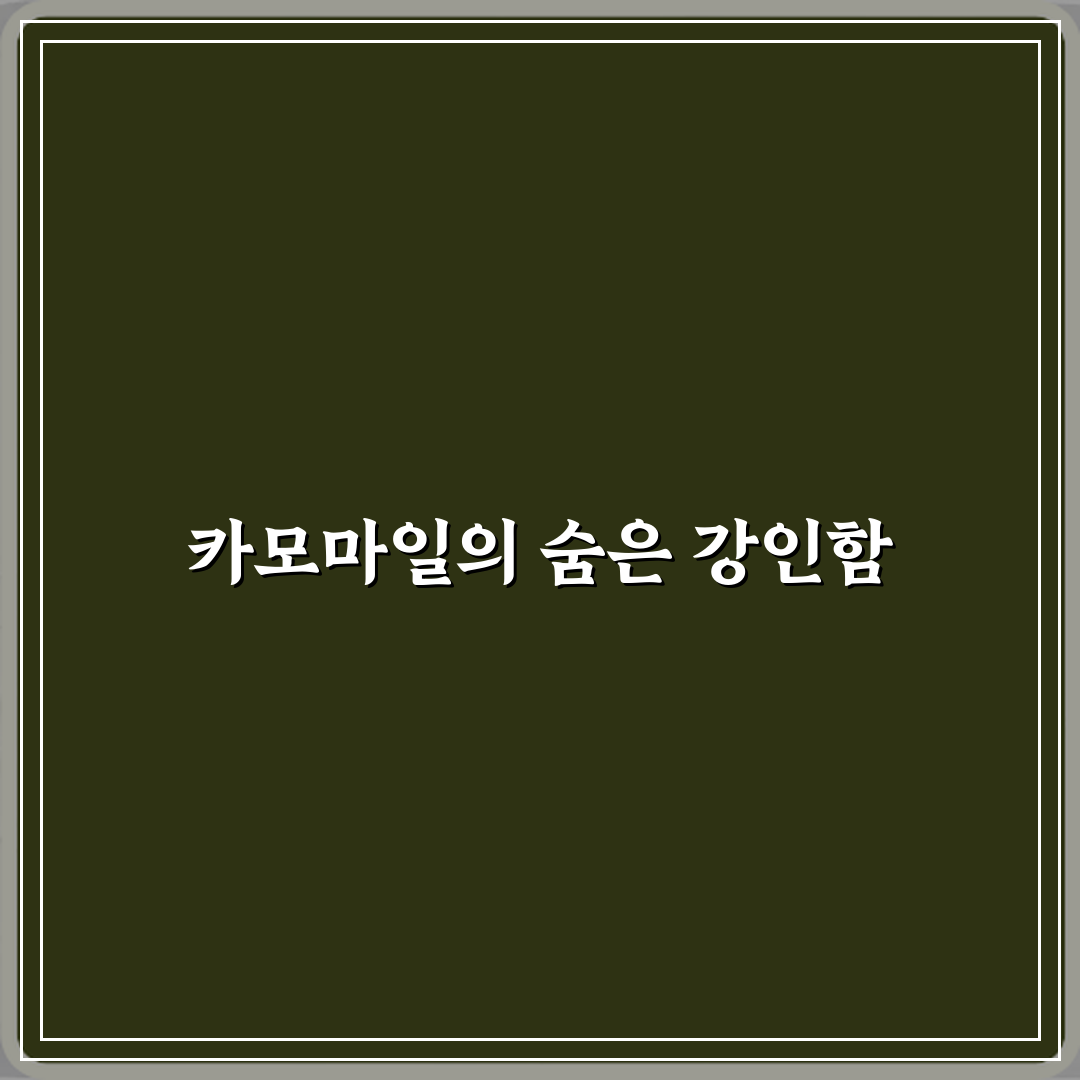 카모마일 꽃말이 역경 속의 강함인 이유 5가지 비밀