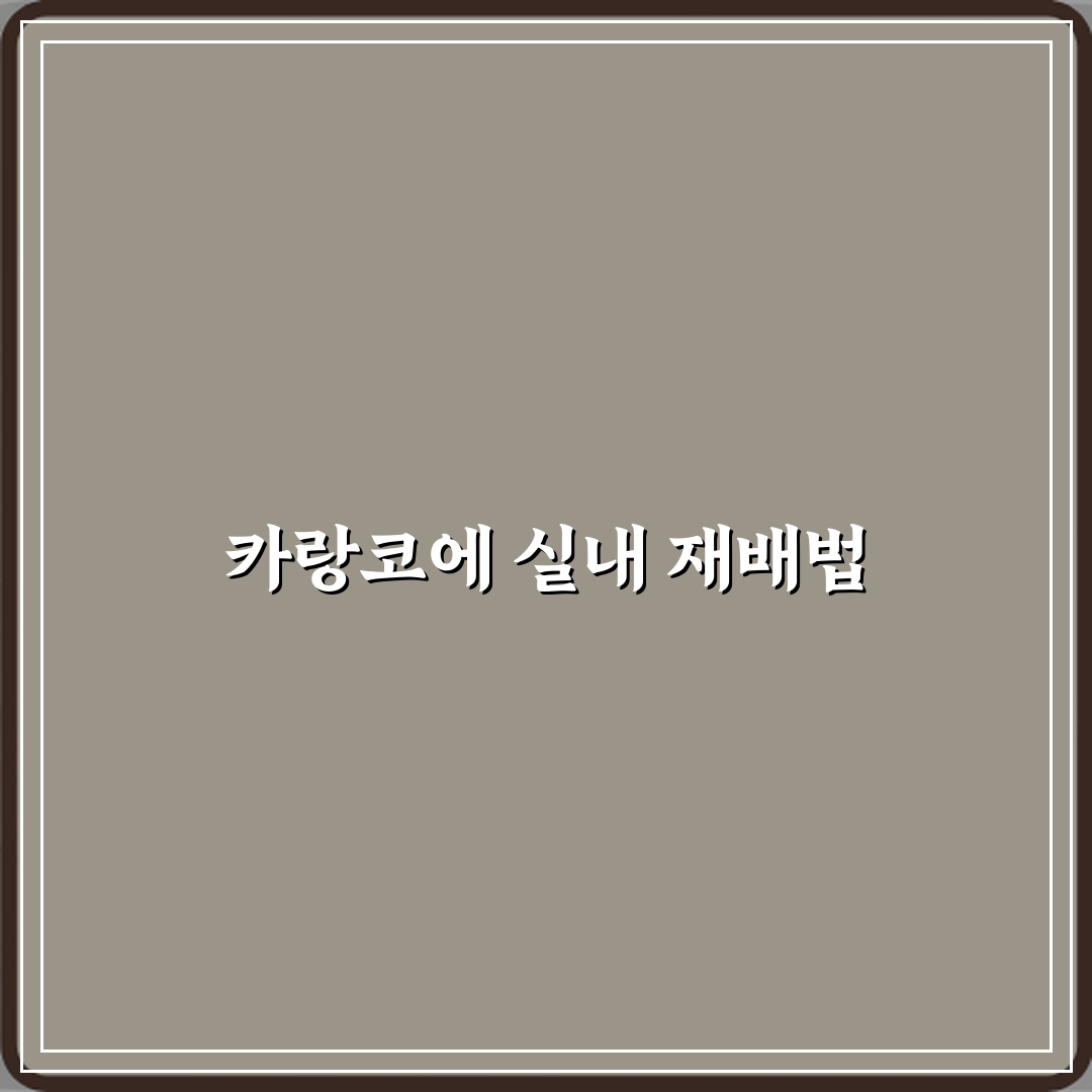 카랑코에 실내에서 다시 꽃 피우는 방법 꿀팁 공유할게요!