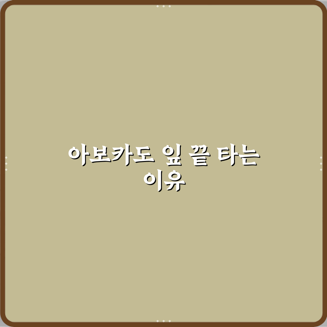 아보카도 잎 끝이 타는 이유 꿀팁으로 쉽게 해결해요