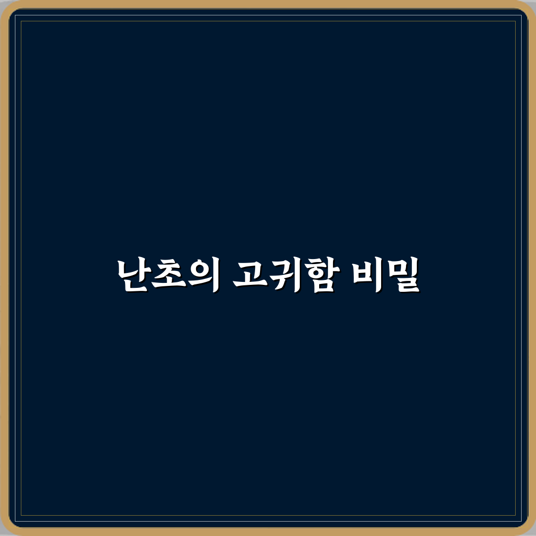 난초 꽃말이 고귀함을 상징하는 이유 꿀팁 공유할게요