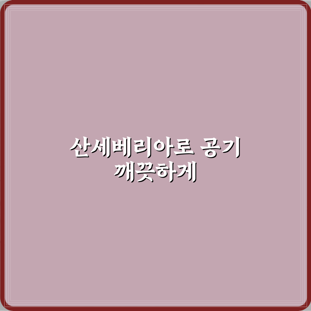 산세베리아 실내 배치하면 공기정화 효과 있는 위치 심층분석 7단계 완벽가이드