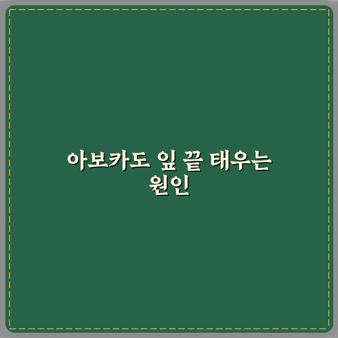 아보카도 잎 끝이 타는 이유 꿀팁으로 쉽게 해결해요