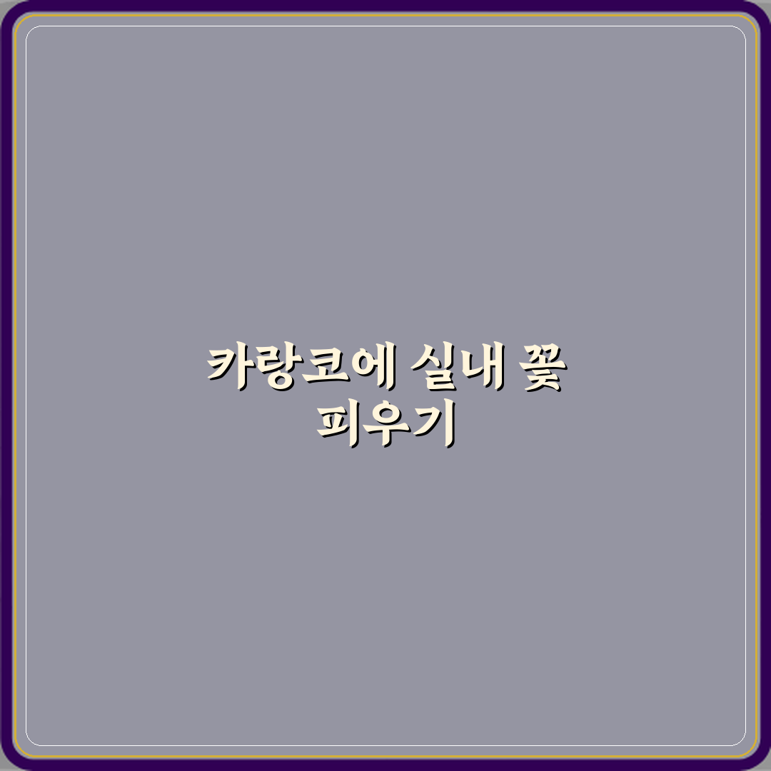 카랑코에 실내에서 다시 꽃 피우는 방법 꿀팁 공유할게요!