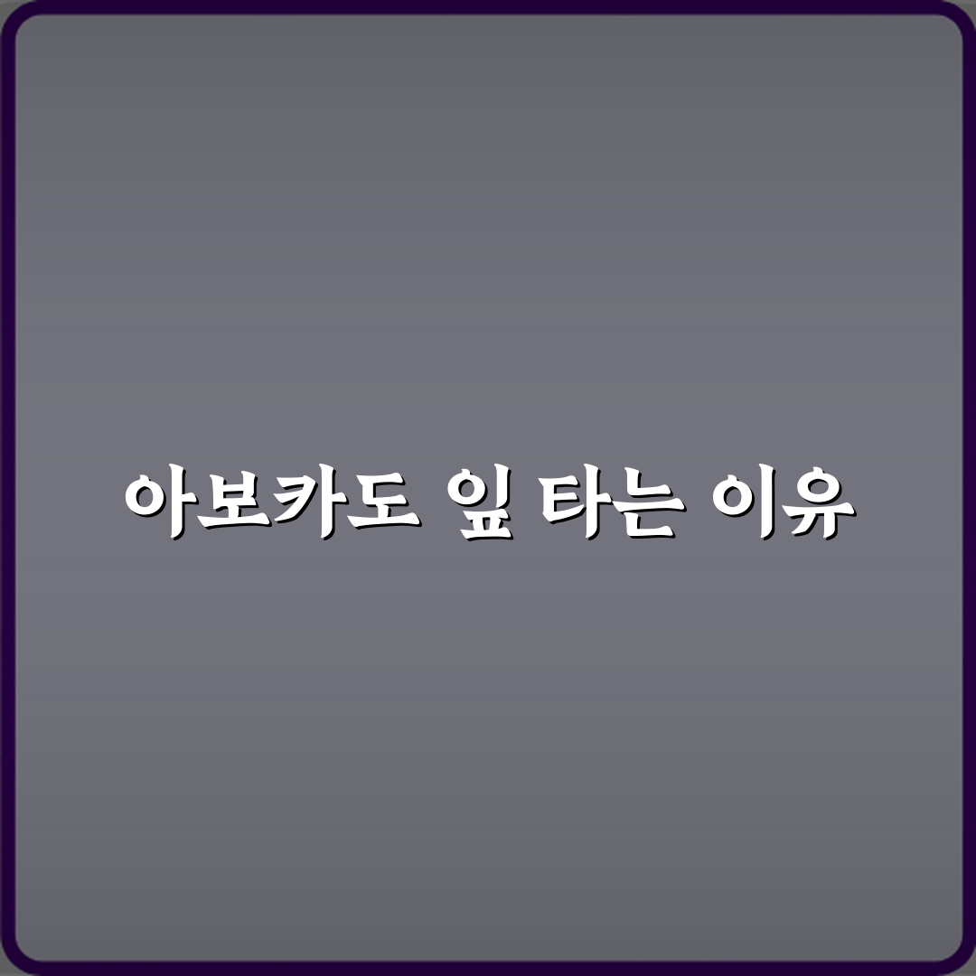 아보카도 잎 끝이 타는 이유 꿀팁으로 쉽게 해결해요