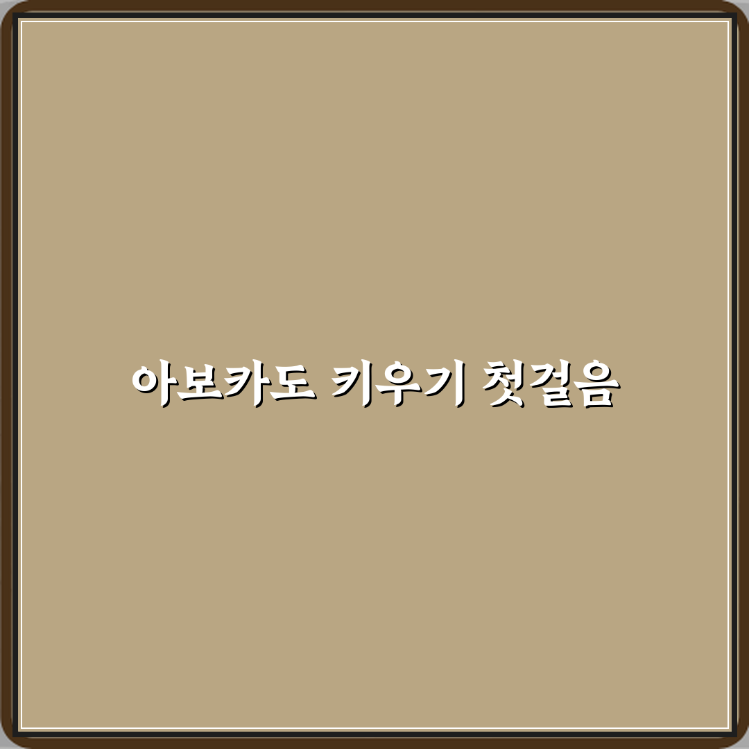 아보카도 키우기 씨앗 발아부터 관리까지 직접 해봤어요, 솔직후기