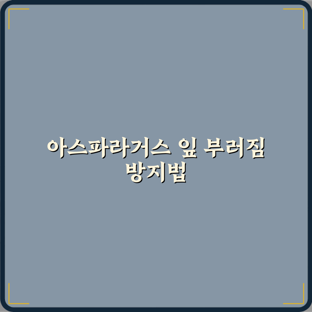 아스파라거스 고사리 실내에서 잎 부러짐 방지법 꿀팁 공유할게요