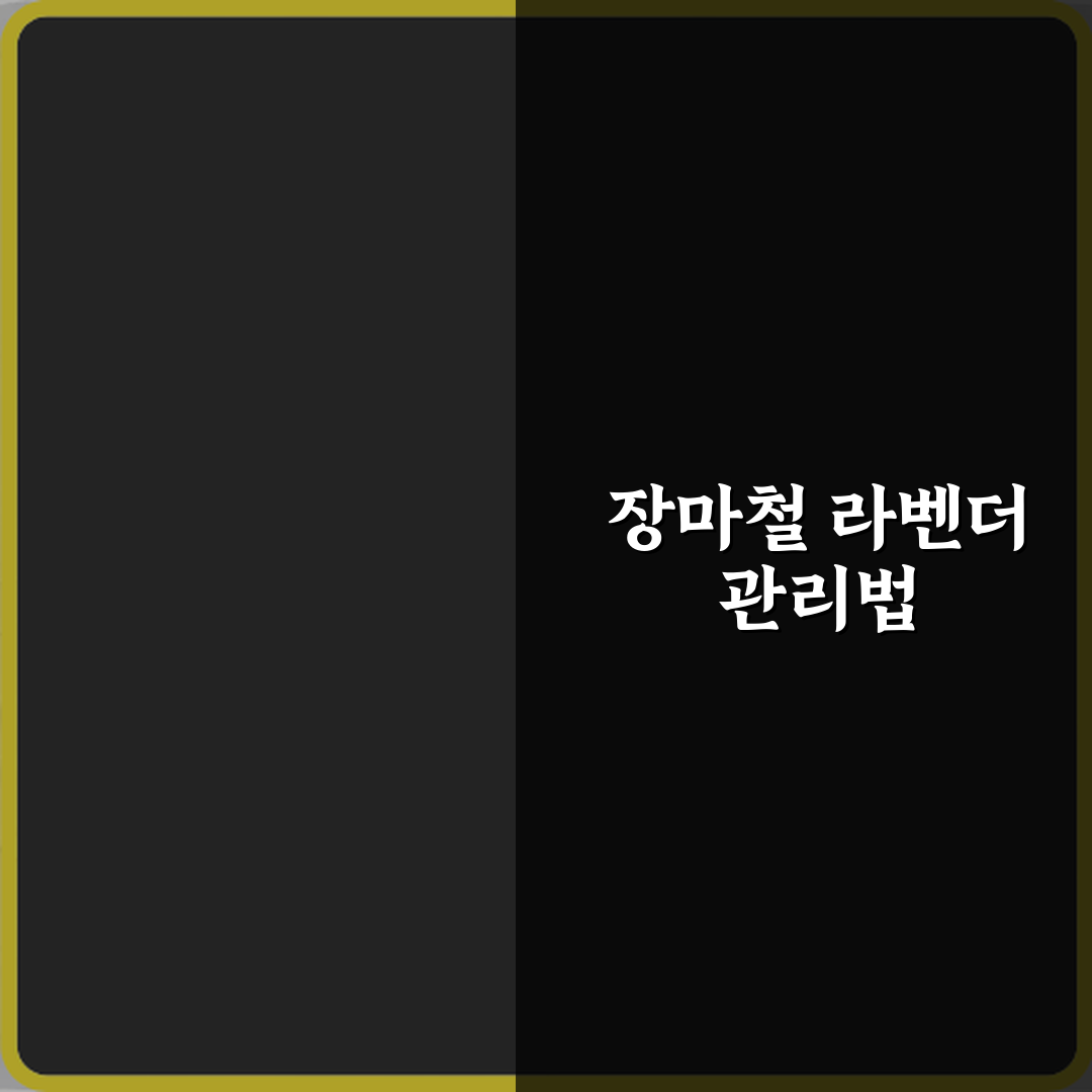 라벤더 키우기 장마철에 죽는 이유 직접 해봤어요, 경험담 공개