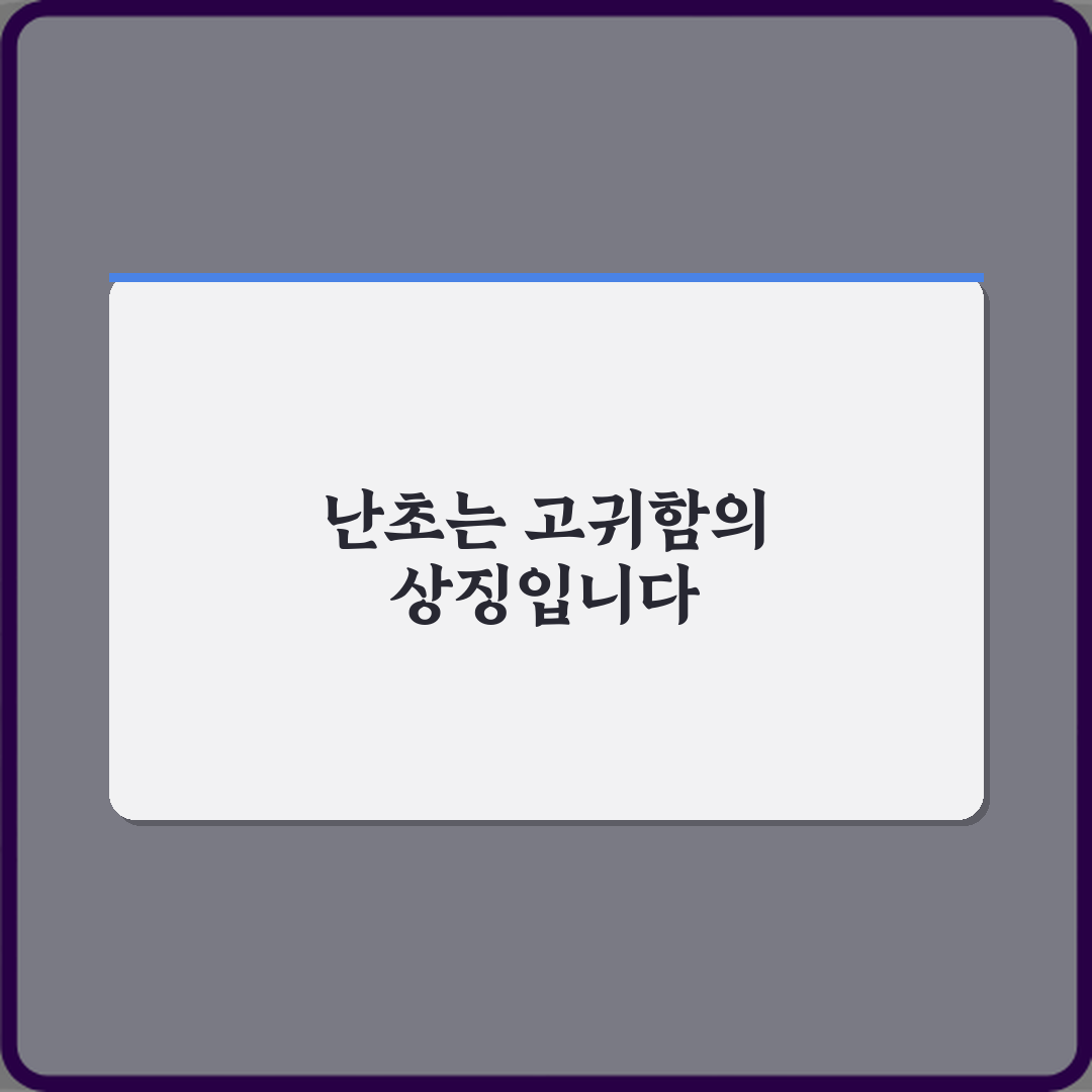난초 꽃말이 고귀함을 상징하는 이유 꿀팁 공유할게요