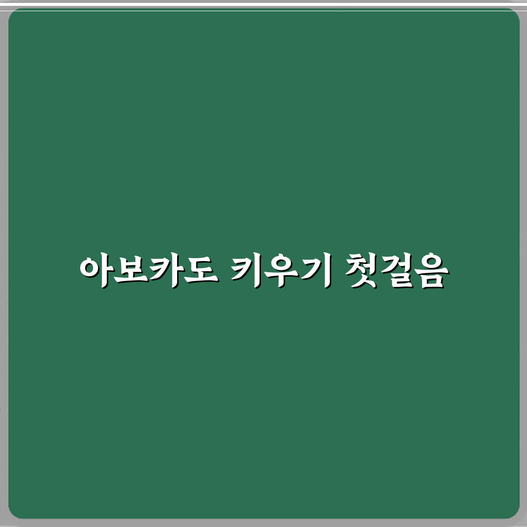 아보카도 키우기 씨앗 발아부터 관리까지 직접 해봤어요, 솔직후기