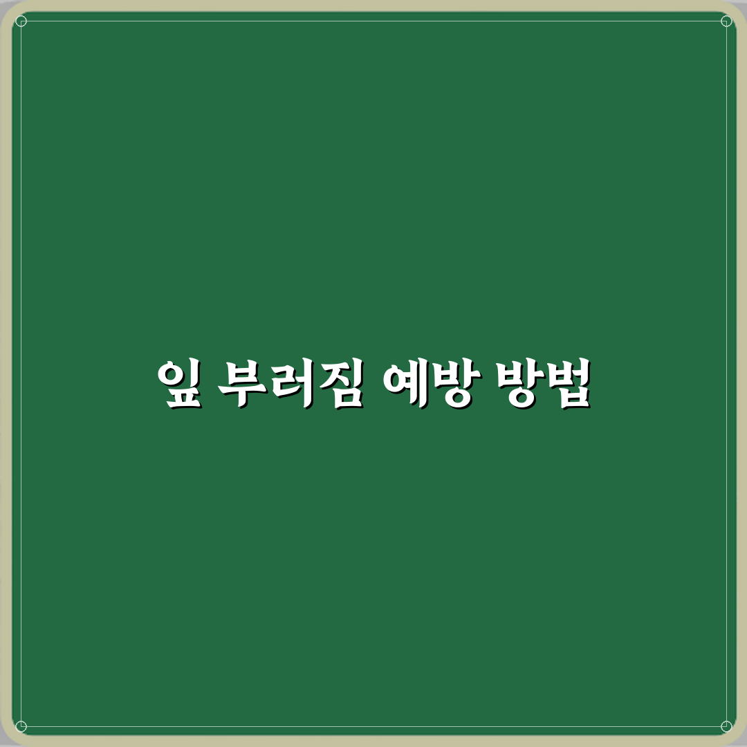 아스파라거스 고사리 실내에서 잎 부러짐 방지법 꿀팁 공유할게요