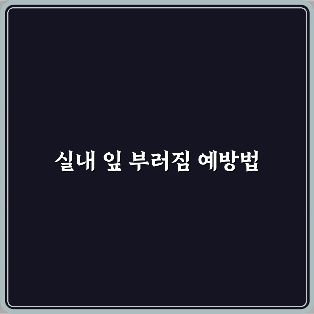 아스파라거스 고사리 실내에서 잎 부러짐 방지법 꿀팁 공유할게요