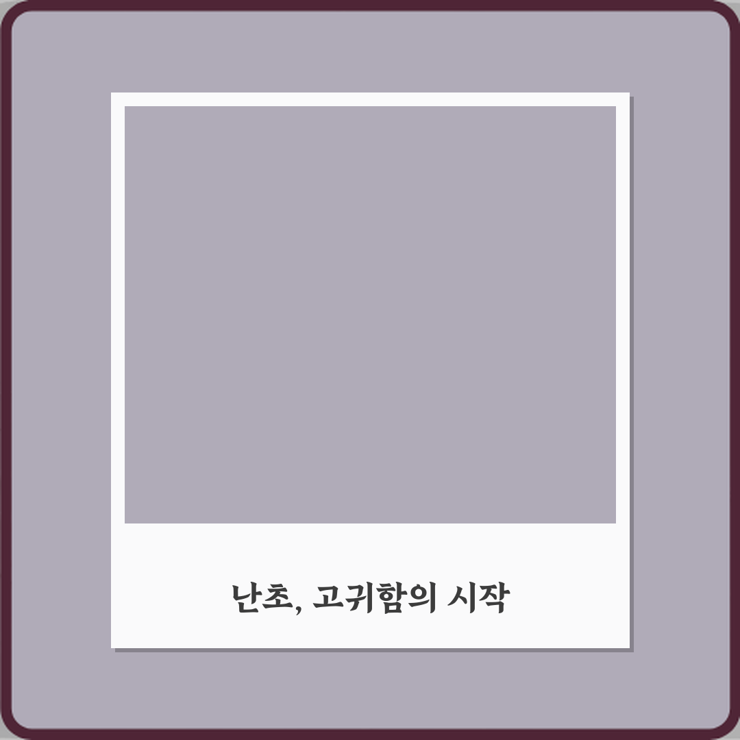 난초 꽃말이 고귀함을 상징하는 이유 꿀팁 공유할게요