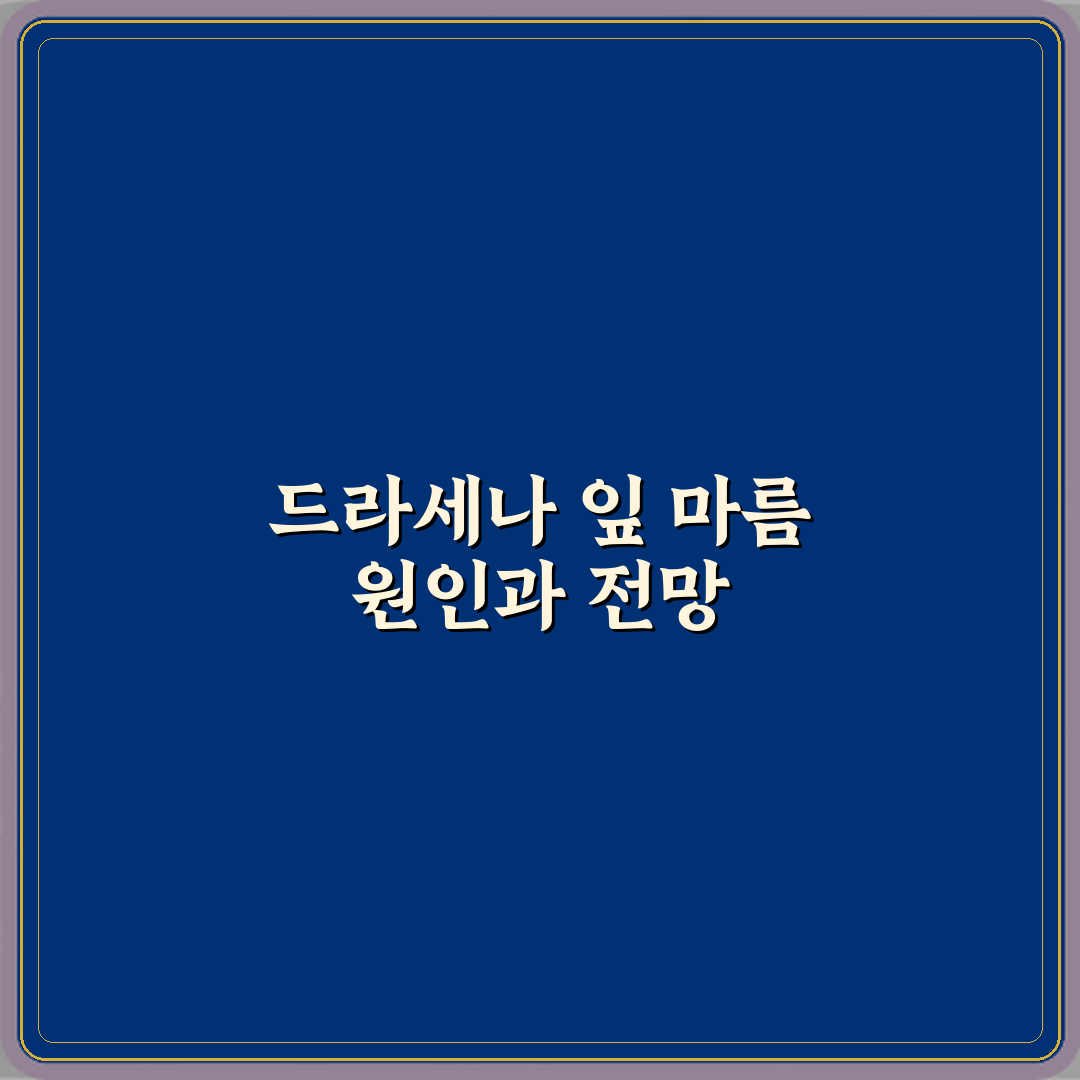 드라세나 마지나타 잎 끝이 마르는 이유 직접 해봤어요 솔직후기