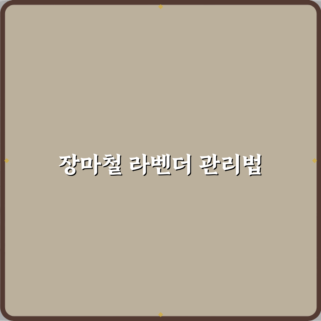 라벤더 키우기 장마철에 죽는 이유 직접 해봤어요, 경험담 공개
